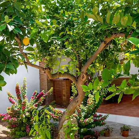 Ferienhaus La Bombonera 2