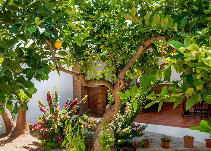 Ferienhaus La Bombonera 2